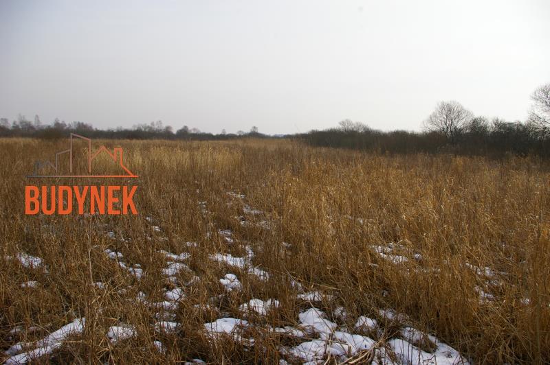 Działka rolna - Malechowo  (5)