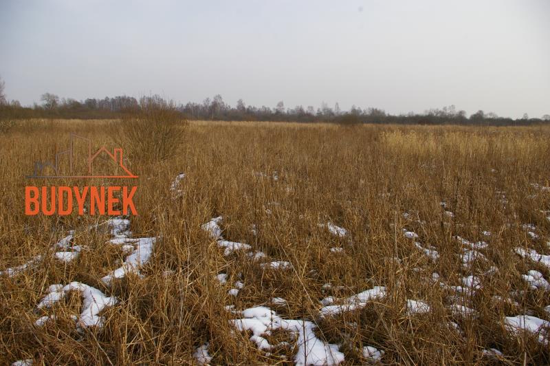 Działka rolna - Malechowo  (6)