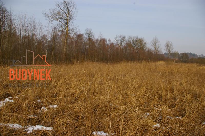 Działka rolna - Malechowo  (8)
