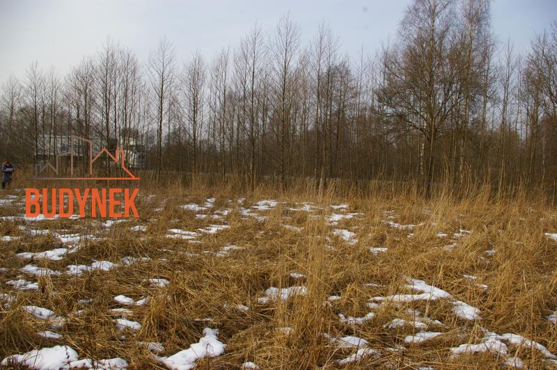 Działka rolna - Malechowo  (9)