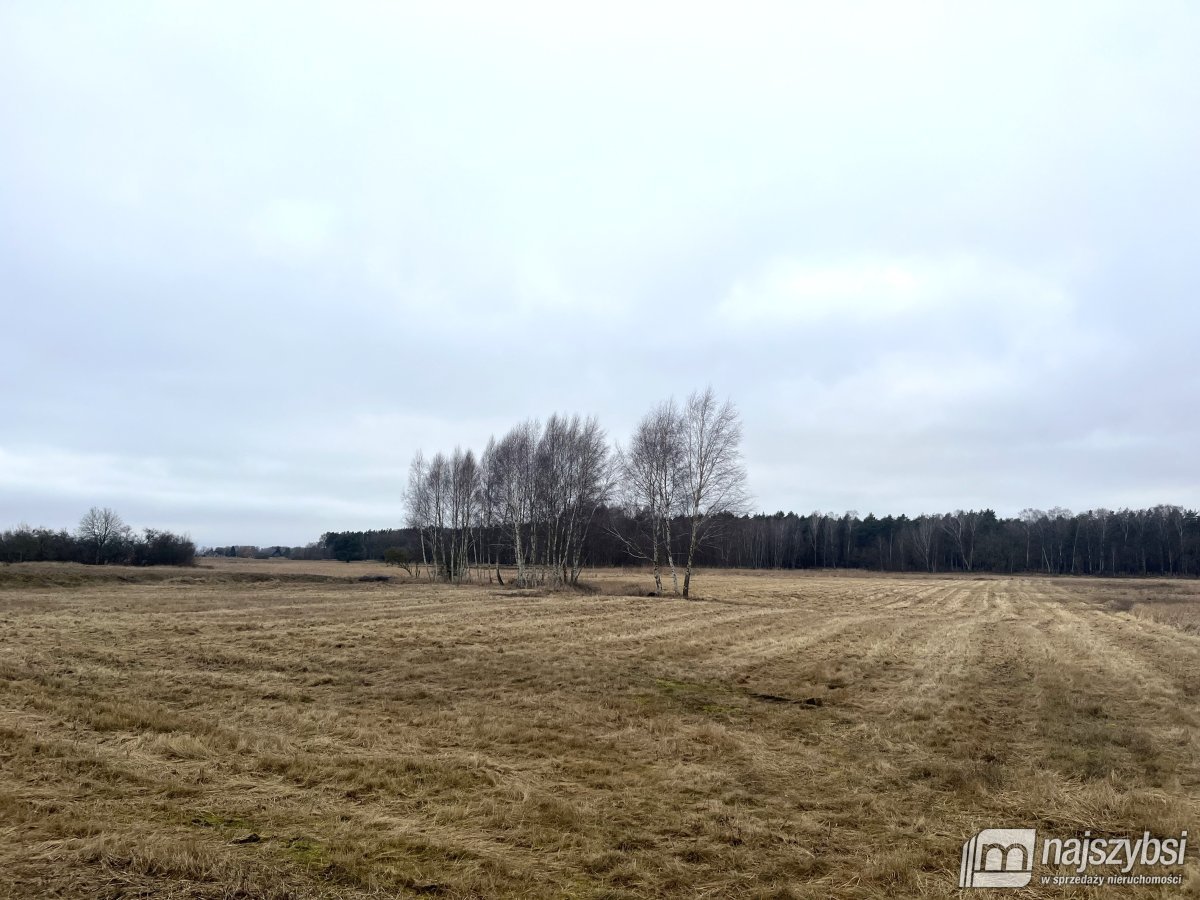Stepnica-działka 0,4ha z MPZP z dostępem do kanału (3)