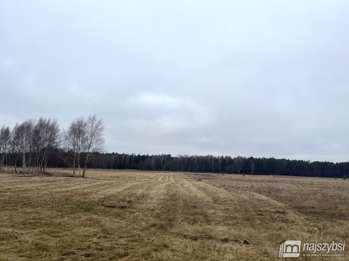 Stepnica-działka 0,4ha z MPZP z dostępem do kanału (5)