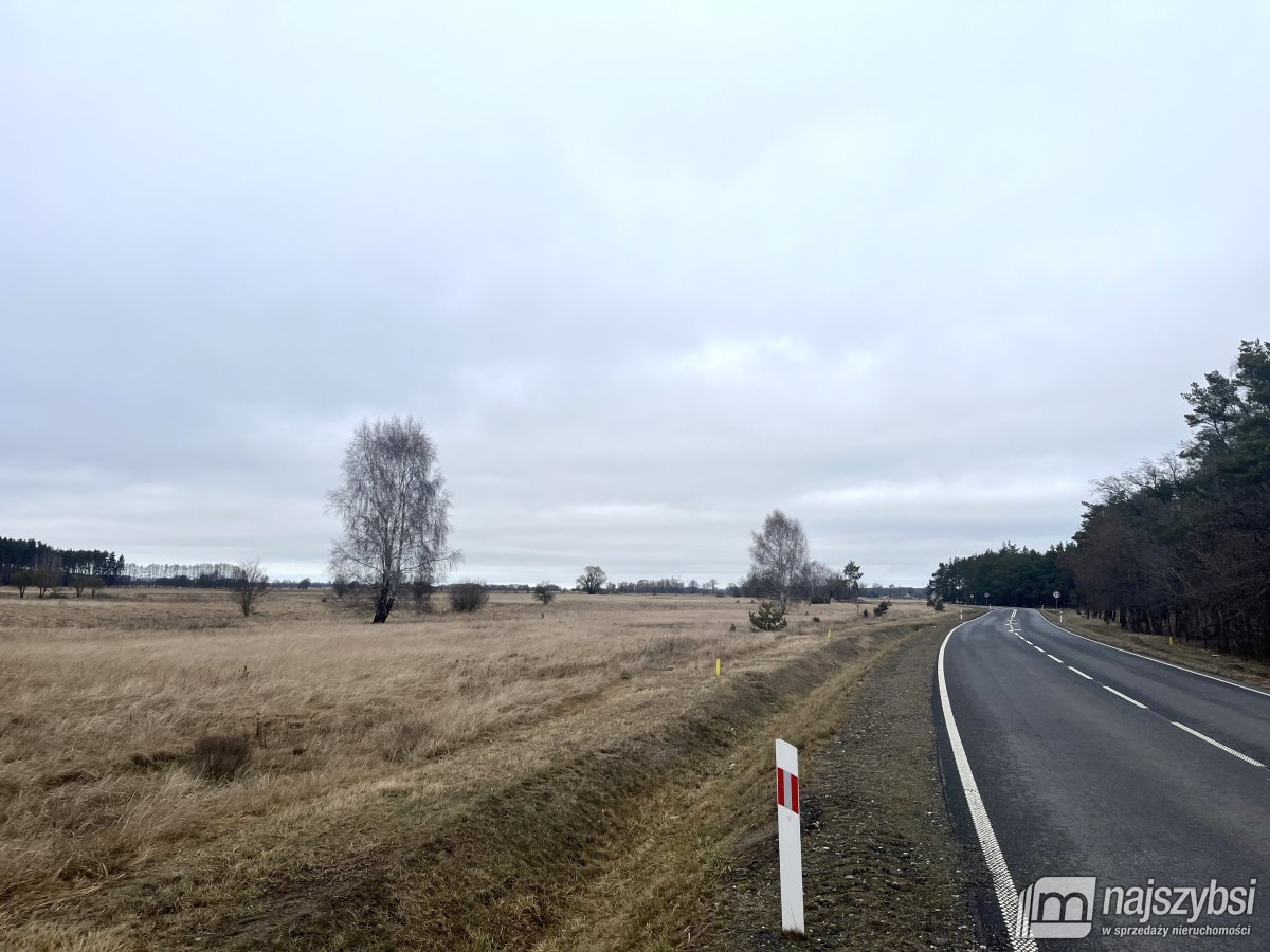 Stepnica-działka 0,4ha z MPZP z dostępem do kanału (6)