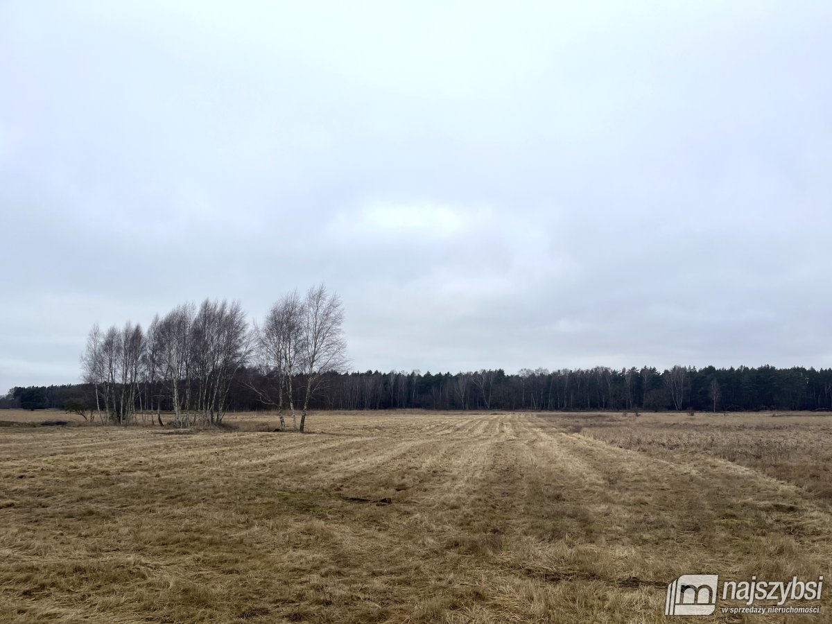 Stepnica-działka 0,4ha z MPZP z dostępem do kanału (7)