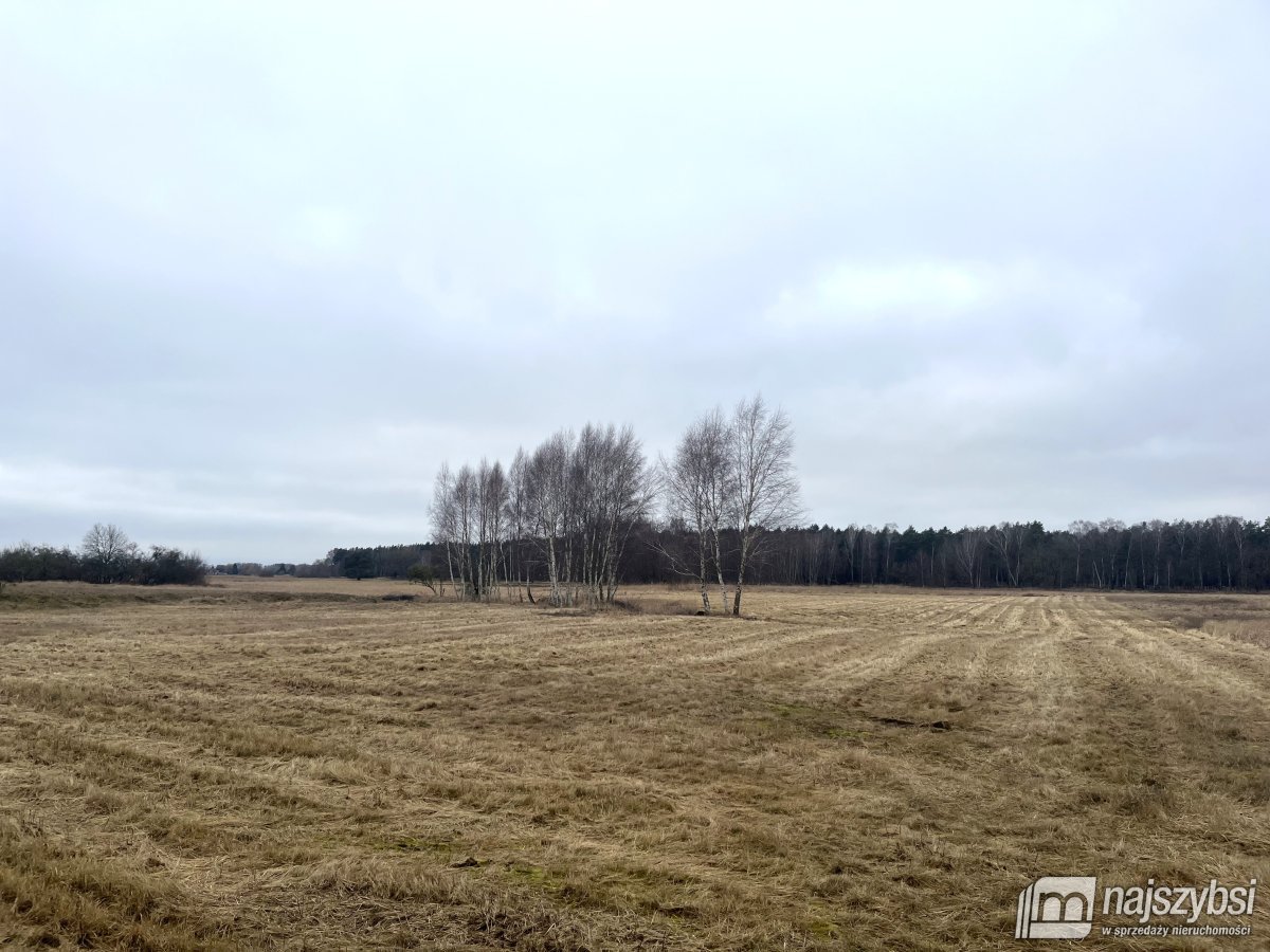 Stepnica-działka 0,4ha z MPZP z dostępem do kanału (9)