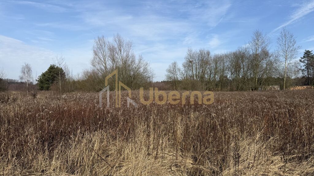 Działka 1552 m2 Żółwia Błoć  - 44,91 zł/m2 (3)