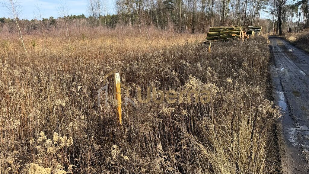 Działka 1552 m2 Żółwia Błoć  - 44,91 zł/m2 (6)