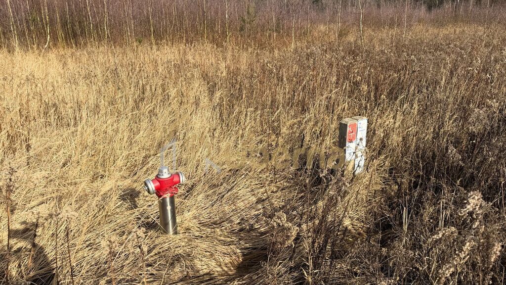 Działka 1552 m2 Żółwia Błoć  - 44,91 zł/m2 (7)