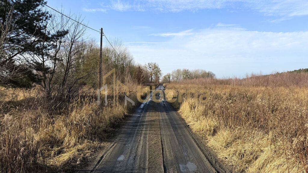 Działka 1552 m2 Żółwia Błoć  - 44,91 zł/m2 (5)