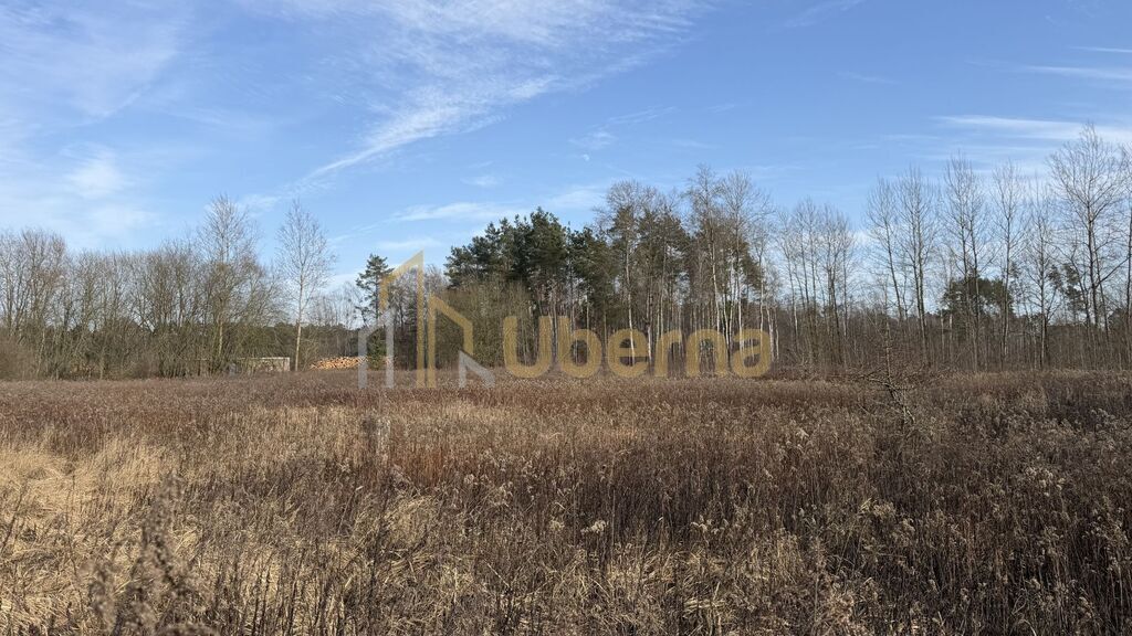 Działka 1552 m2 Żółwia Błoć  - 44,91 zł/m2 (4)