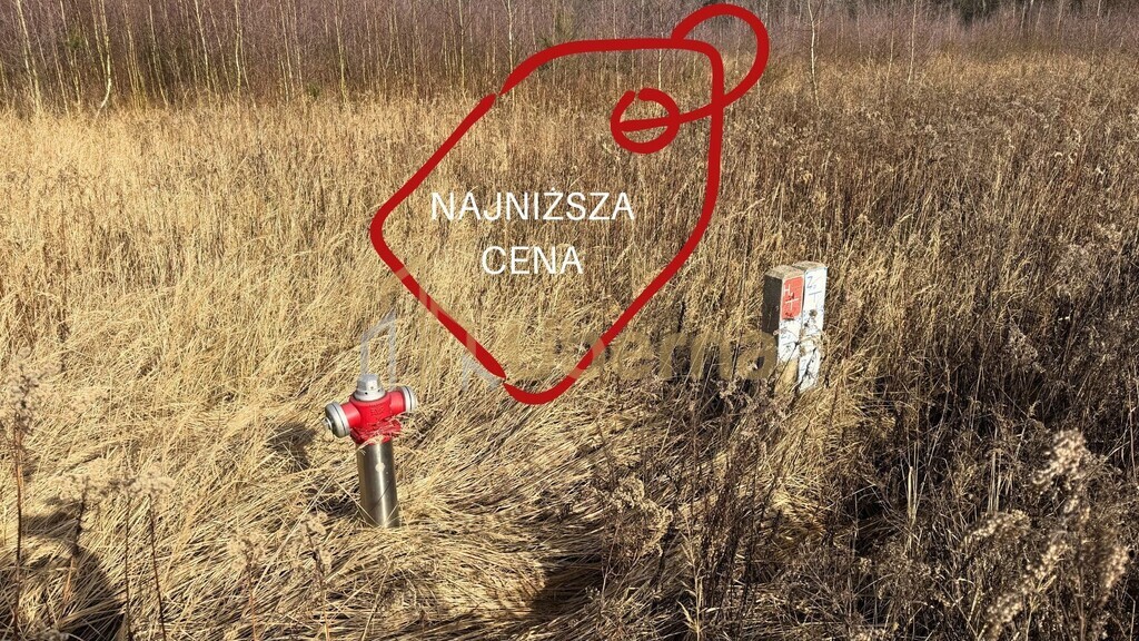 Działka 1552 m2 Żółwia Błoć  - 44,91 zł/m2 (1)