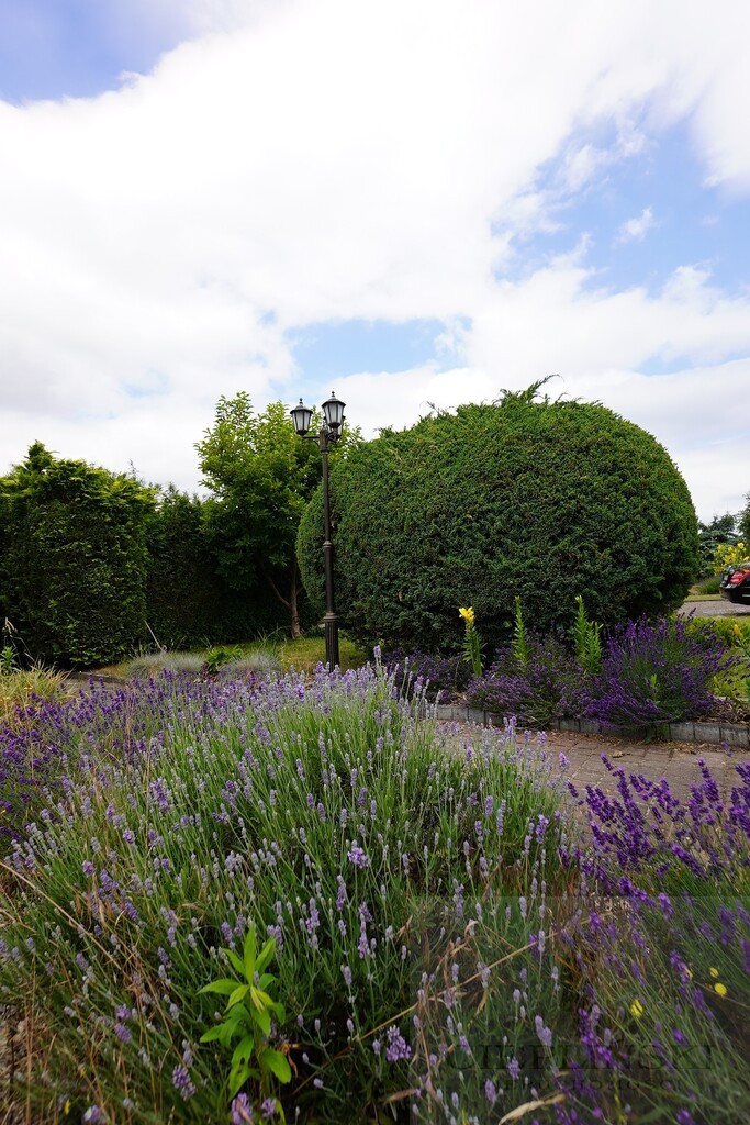 Zagospodarowana działka blisko Centrum Gorzowa (2)