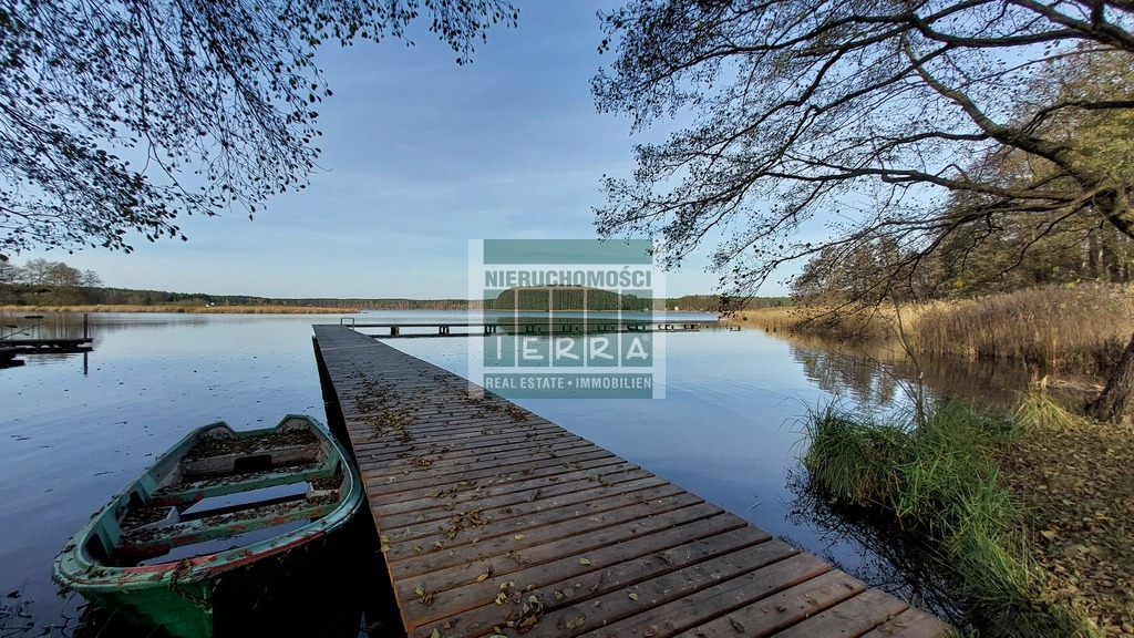 Duża działka + domek letniskowy w Bronkowie (17)