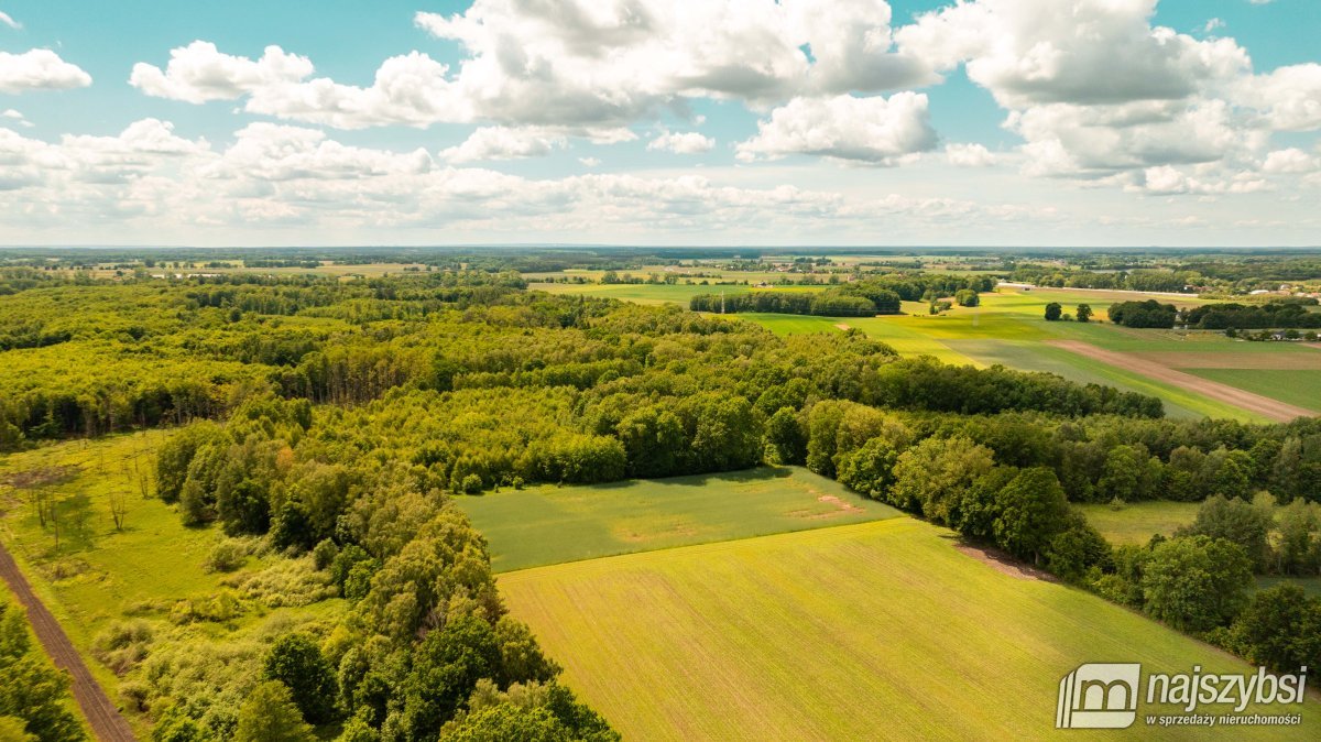 NOWOGARD-ZIEMIA INWESTYCYJNA Z PLANEM 1,65 HA (3)