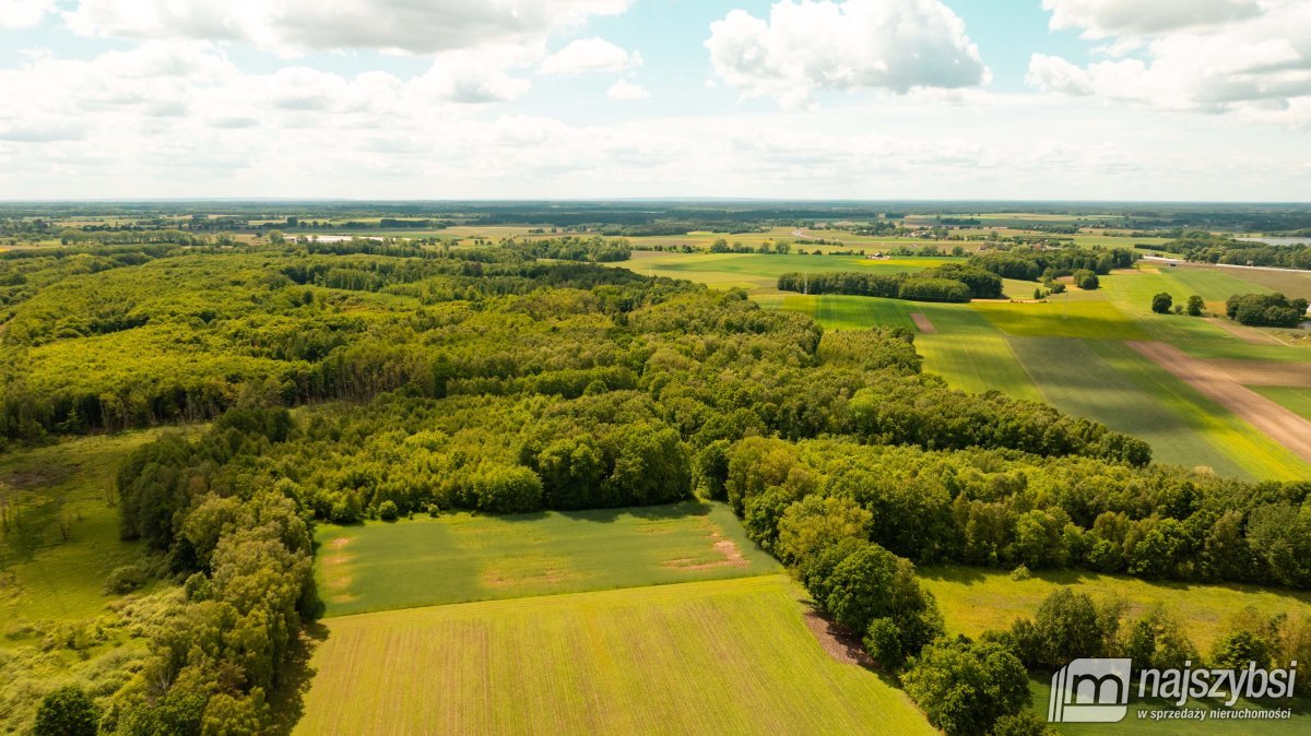 NOWOGARD-ZIEMIA INWESTYCYJNA Z PLANEM 1,65 HA (6)