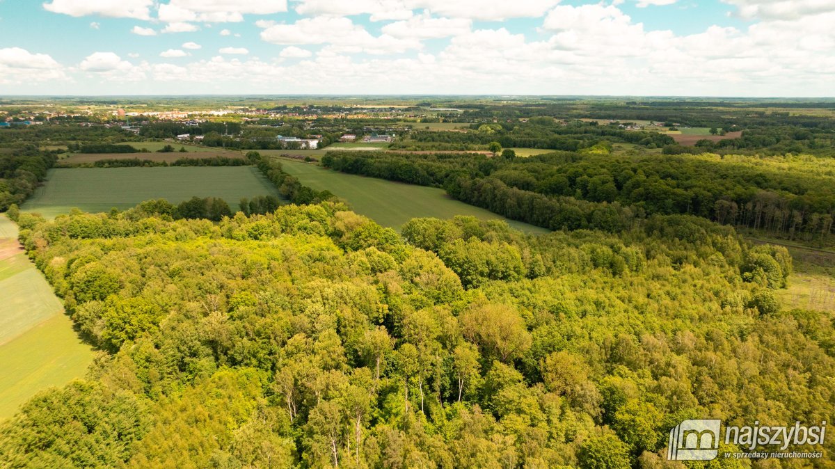 NOWOGARD -ZIEMIA INWESTYCYJNA Z PLANEM 3,64 HA (5)