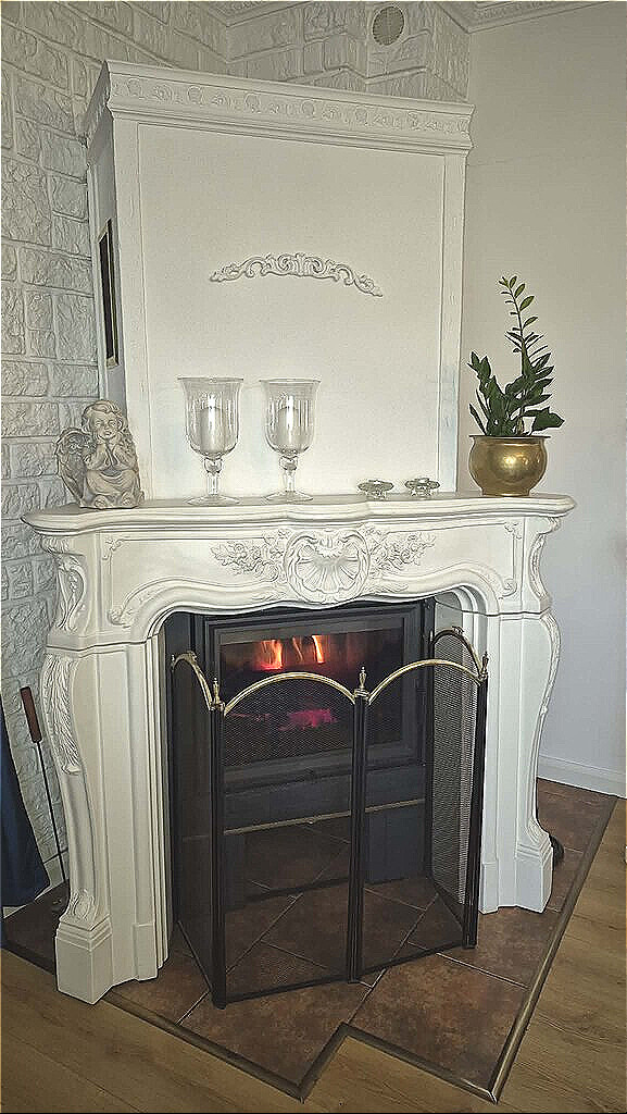 Wyjatkowy dom w Gryfinie (12)