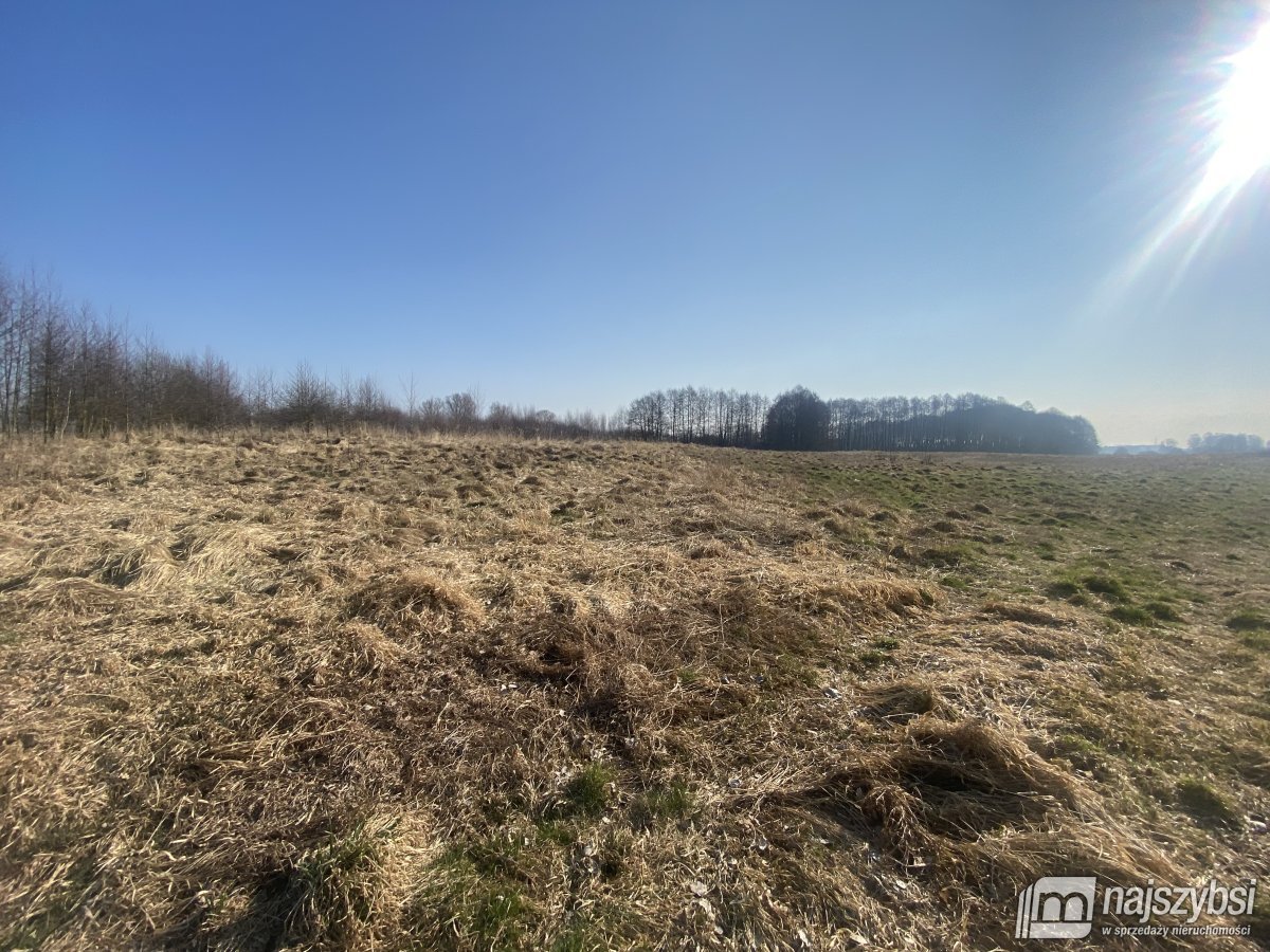 Nowogard- grunty rolne 3,45 HA przy S6 (2)