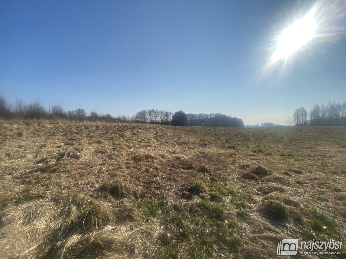 Nowogard- grunty rolne 3,45 HA przy S6 (4)