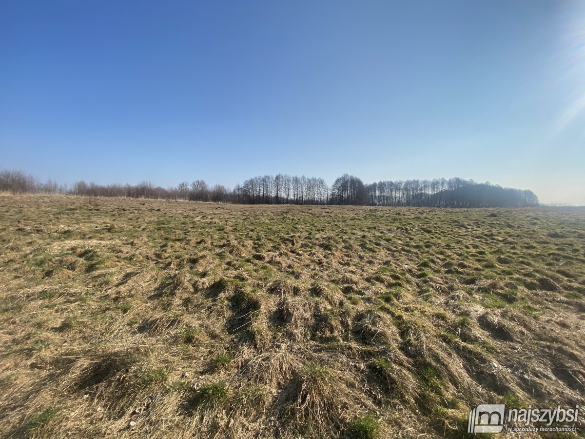 Nowogard- grunty rolne 3,45 HA przy S6 (5)