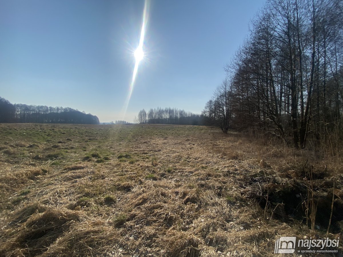 Nowogard- grunty rolne 3,45 HA przy S6 (6)