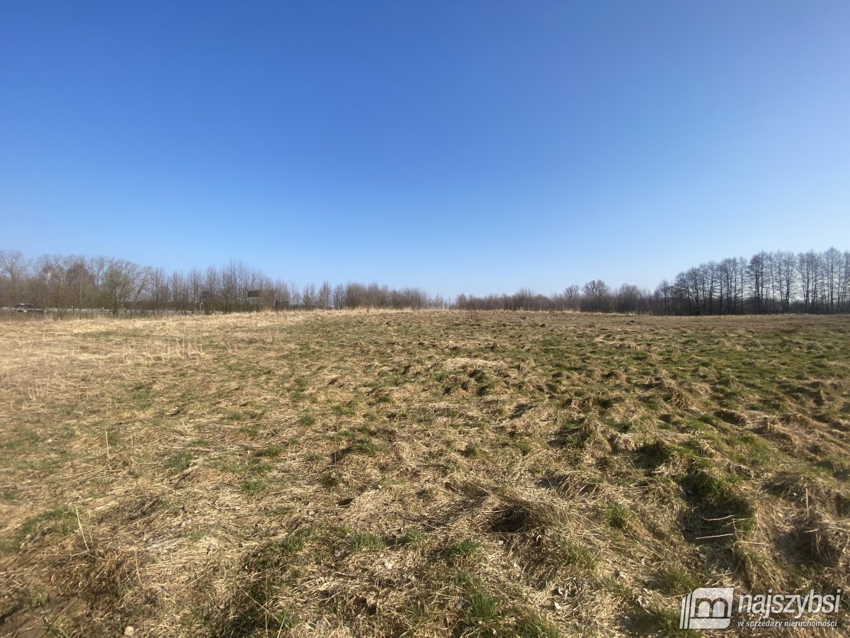 Nowogard- grunty rolne 3,45 HA przy S6 (8)