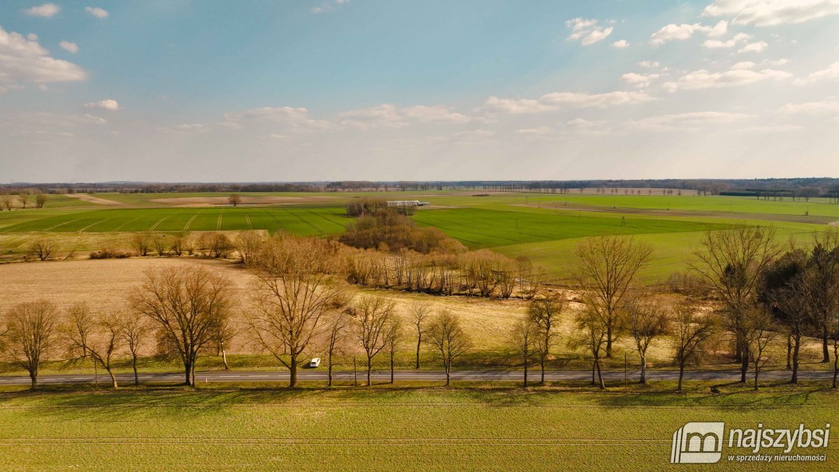 Maszewo-Jenikowo działka 2 ha (11)