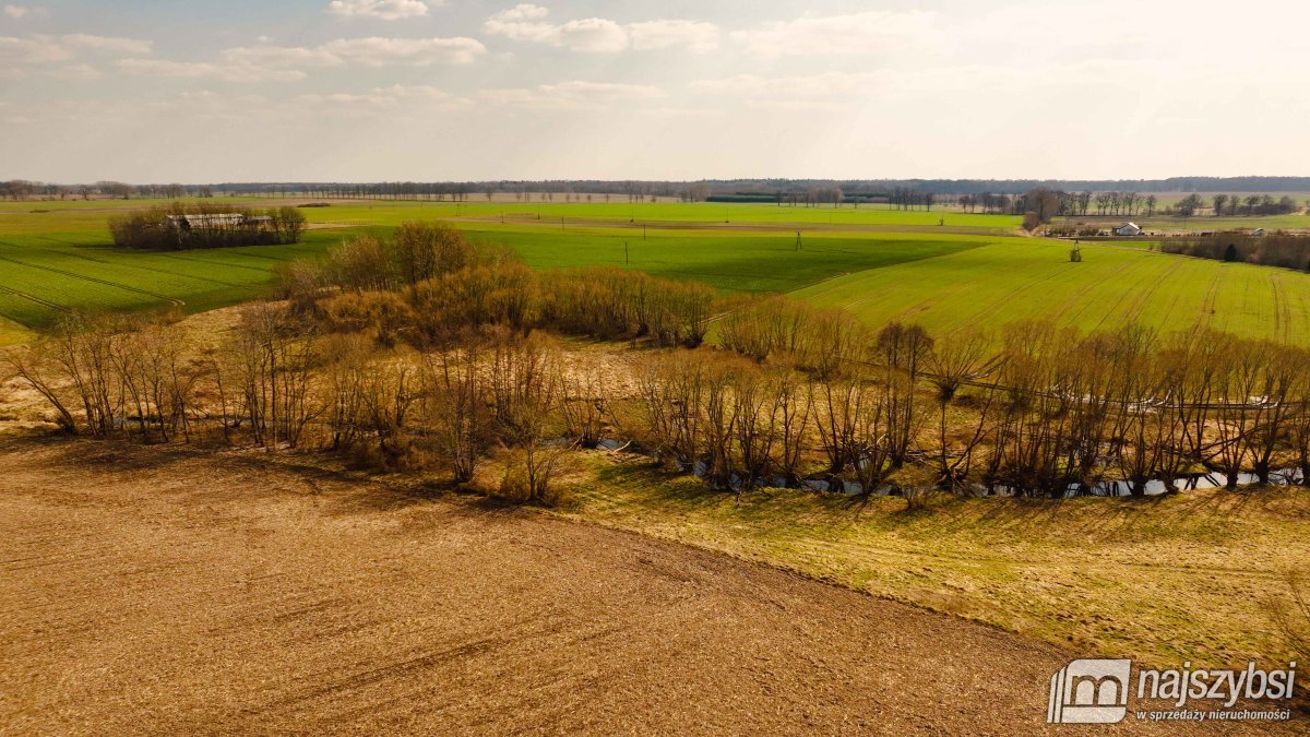 Maszewo-Jenikowo działka 2 ha (16)