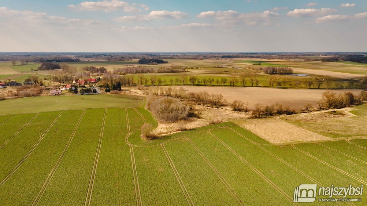 Maszewo-Jenikowo działka 2 ha (4)