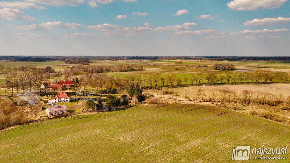 Maszewo-Jenikowo działka 2 ha (7)