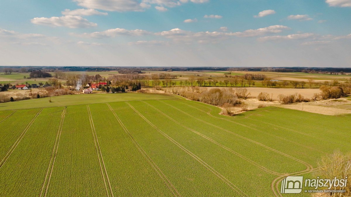 Maszewo-Jenikowo działka 2 ha (8)