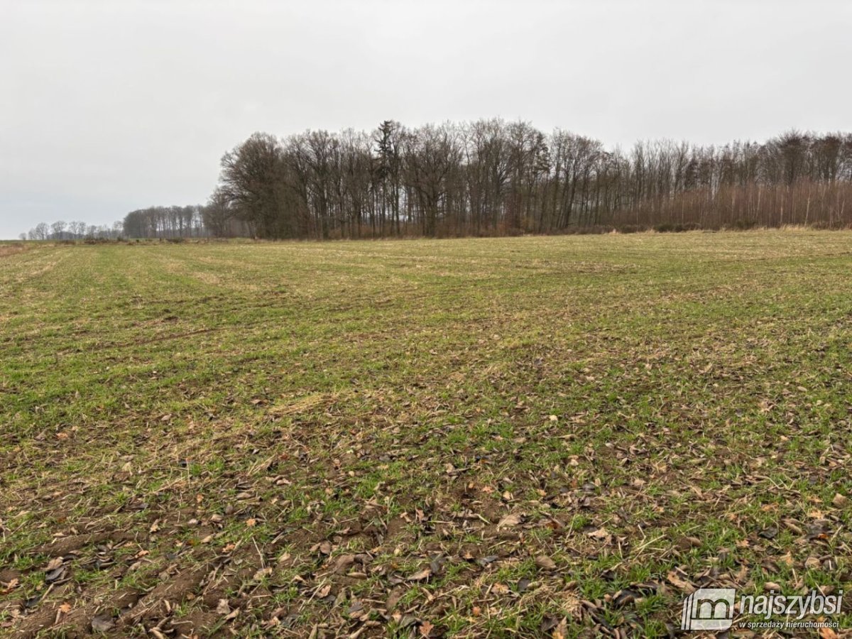 Radowo Małe- działka rolna z potencjałem (2)