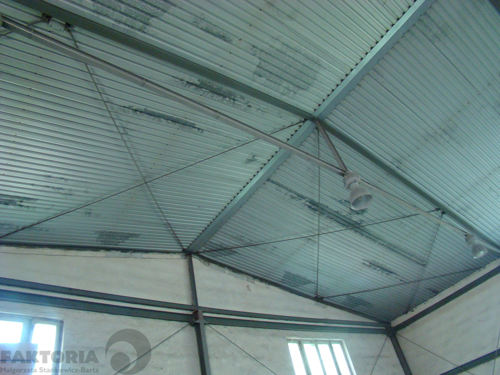 Hala magazynowo - produkcyjna 800 m2, wys. 6 m. (1)