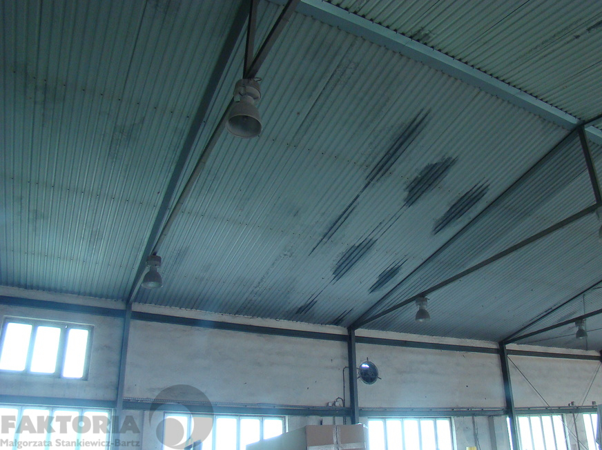 Hala magazynowo - produkcyjna 800 m2, wys. 6 m. (2)