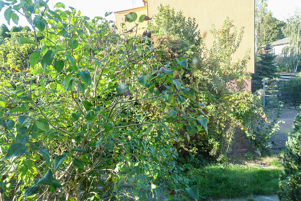 Parter domu po remoncie 101 m2+ogród+garaż 700tys. (11)