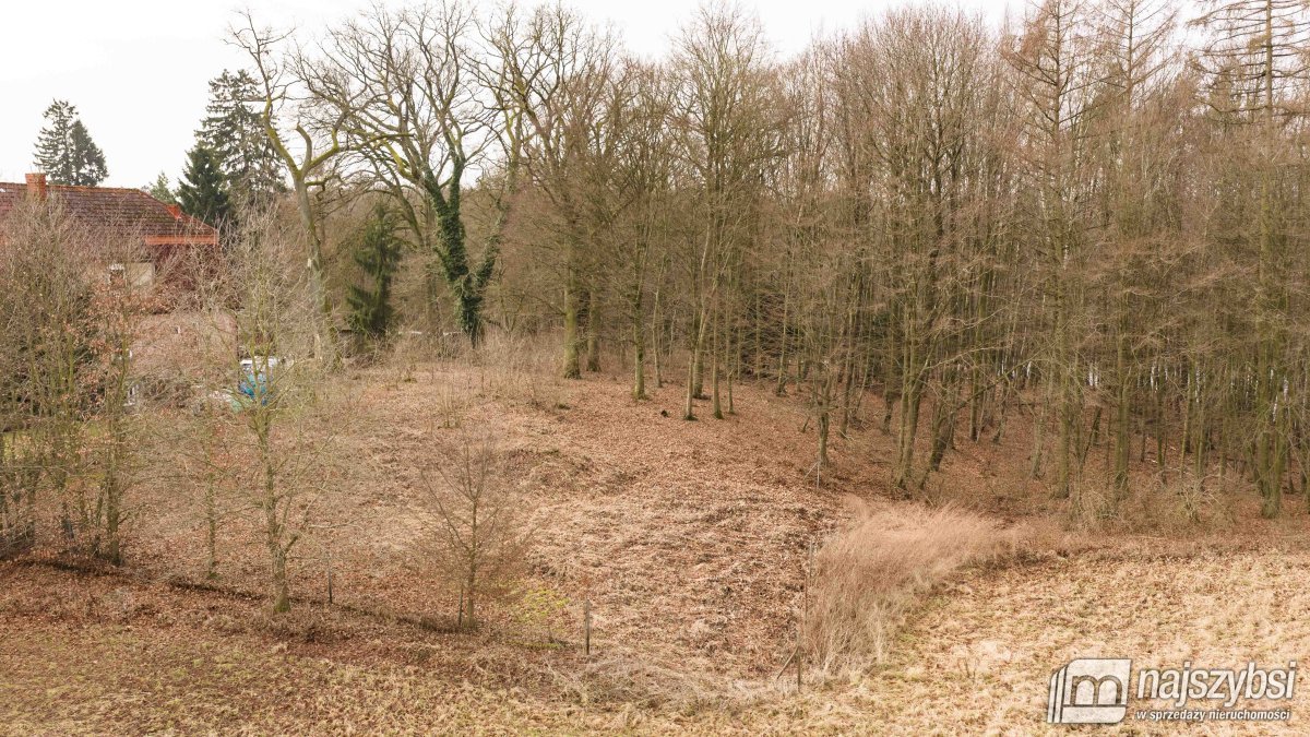 Wierzbka Dolna - działka o pow. 0,1372 ha - blisko (8)