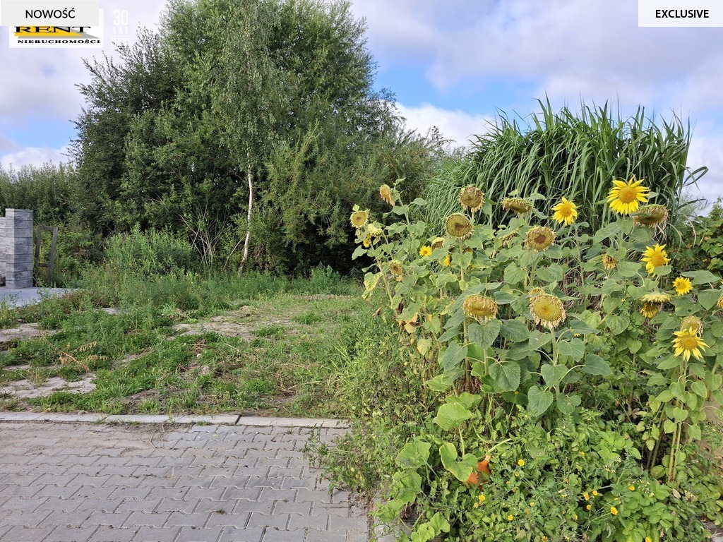 Działa, Teren na Mierzynie (2)