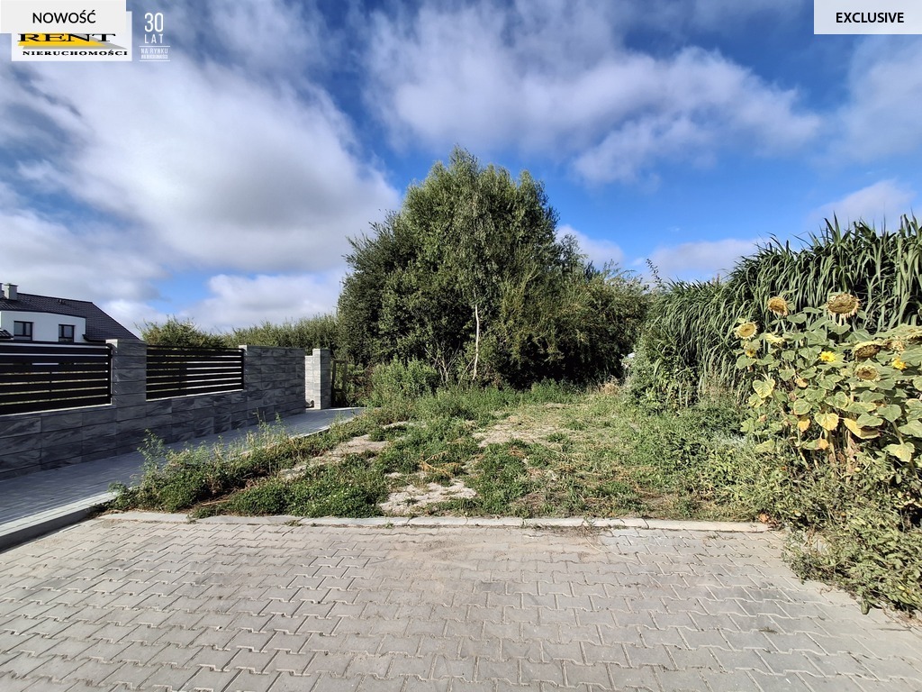 Działa, Teren na Mierzynie (4)