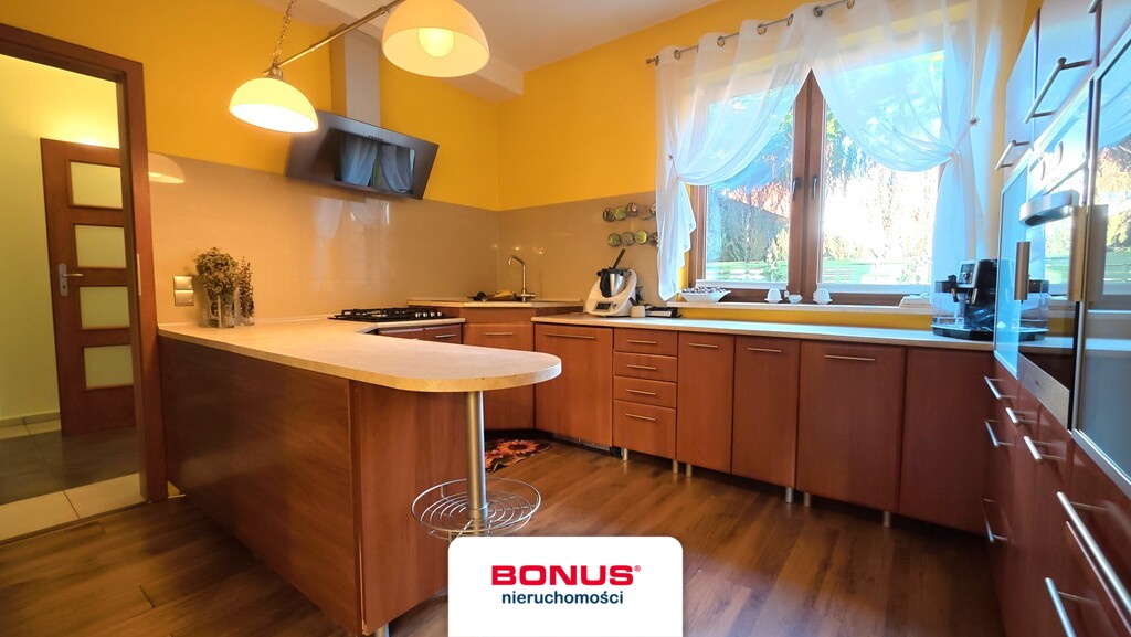 Pół bliźniaka w Puszczy Bukowej (3)