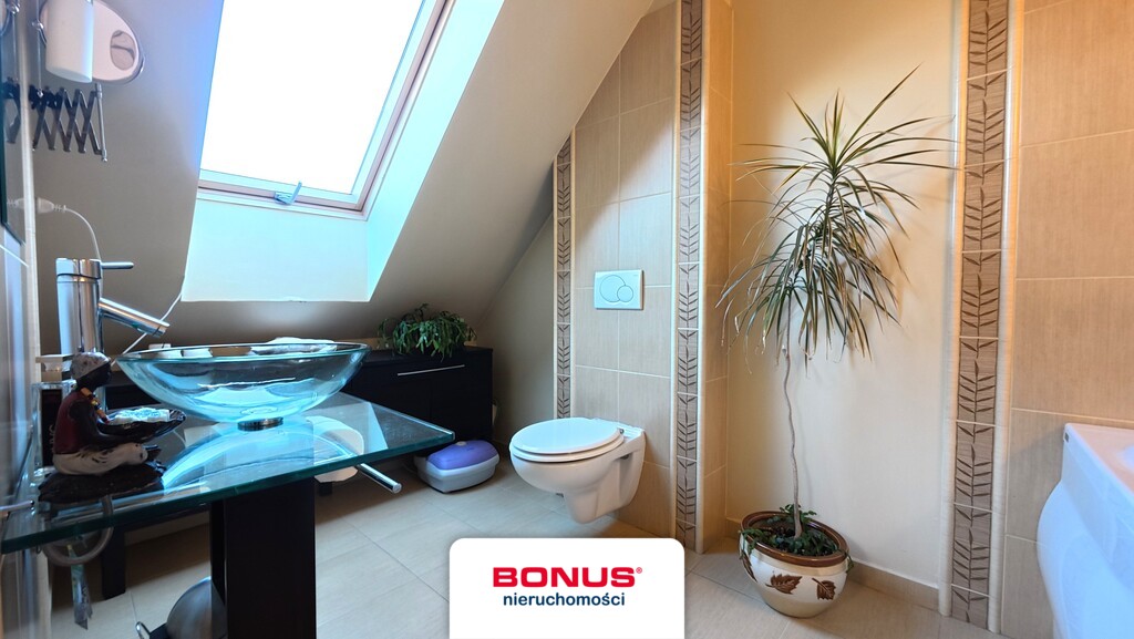 Pół bliźniaka w Puszczy Bukowej (10)