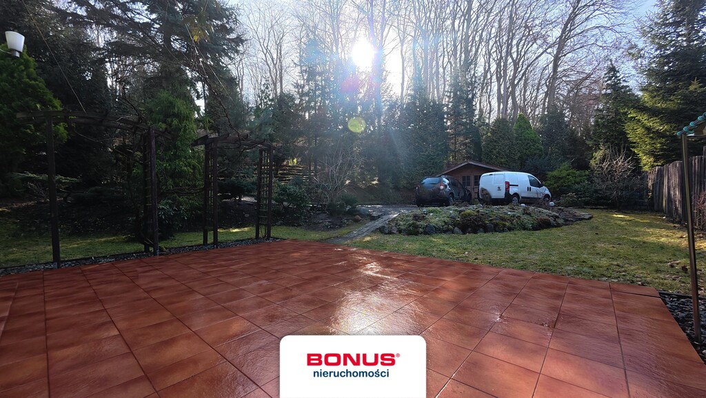 Pół bliźniaka w Puszczy Bukowej (12)