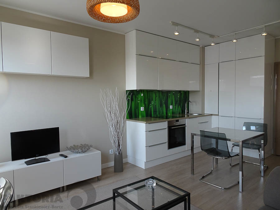 Centrum. Umebl. apartament 2pok. balkon 2600+340 (1)