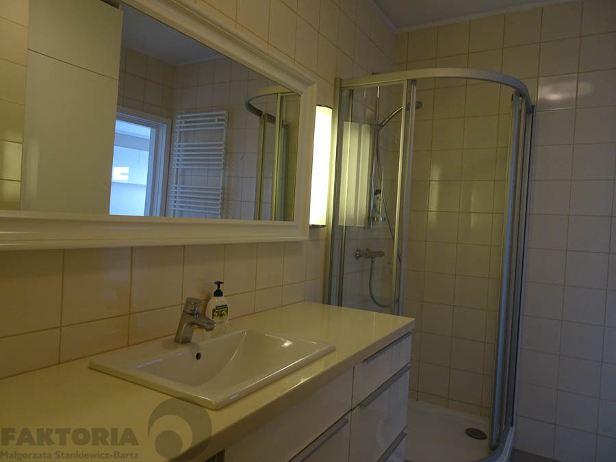 Centrum. Umebl. apartament 2pok. balkon 2600+340 (9)