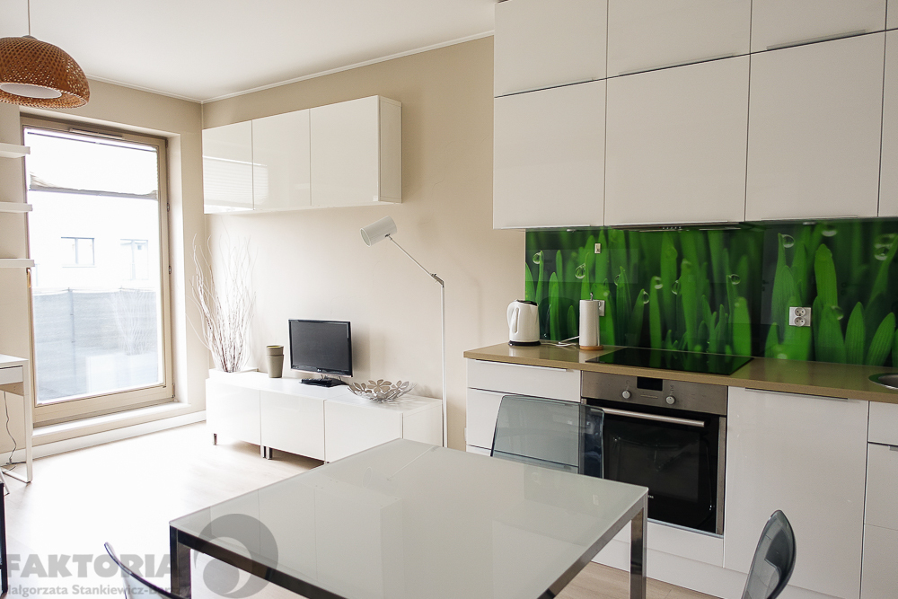 Centrum. Umebl. apartament 2pok. balkon 2400+340 (5)