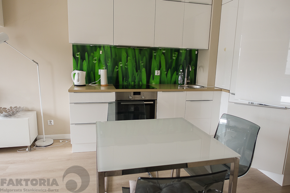 Centrum. Umebl. apartament 2pok. balkon 2400+340 (4)