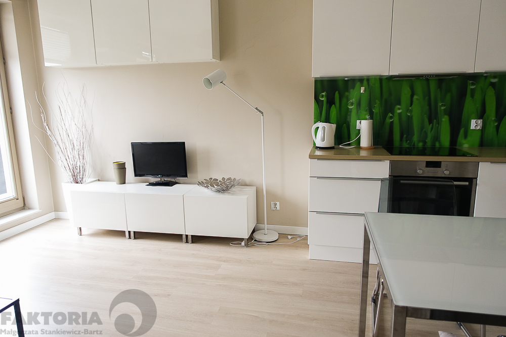 Centrum. Umebl. apartament 2pok. balkon 2400+340 (3)
