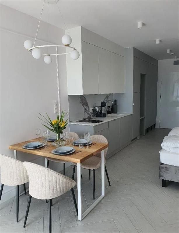 Apartament Premium z basenem na dachu - 350 m od m (1)