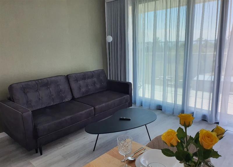 Apartament Premium z basenem na dachu - 350 m od m (2)
