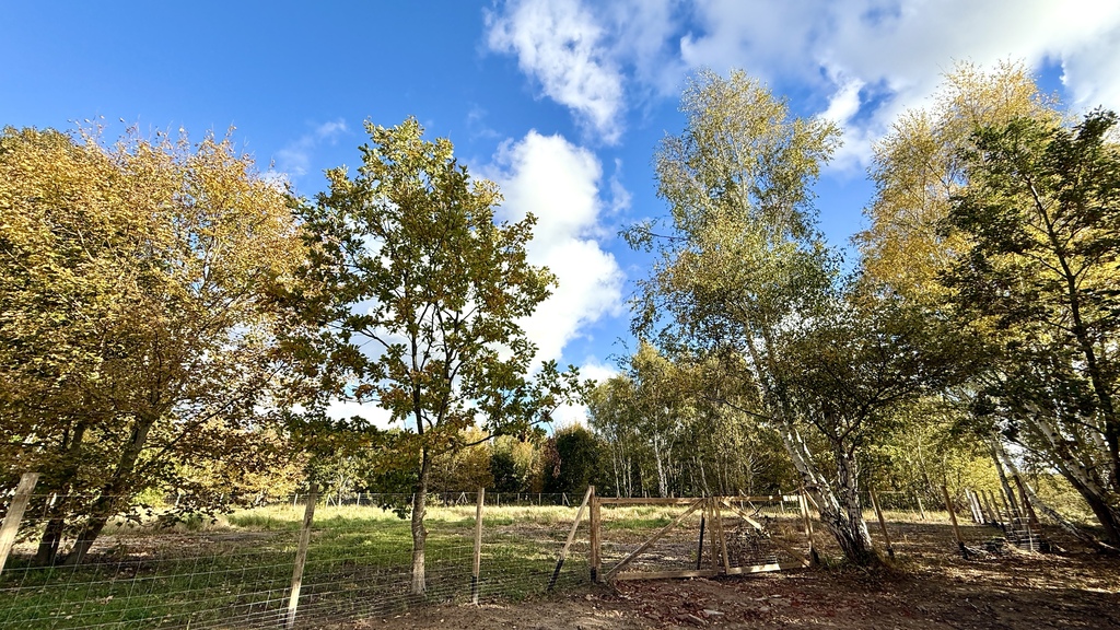 Piękne działki z planem 200m od morza w Niechorzu! (8)