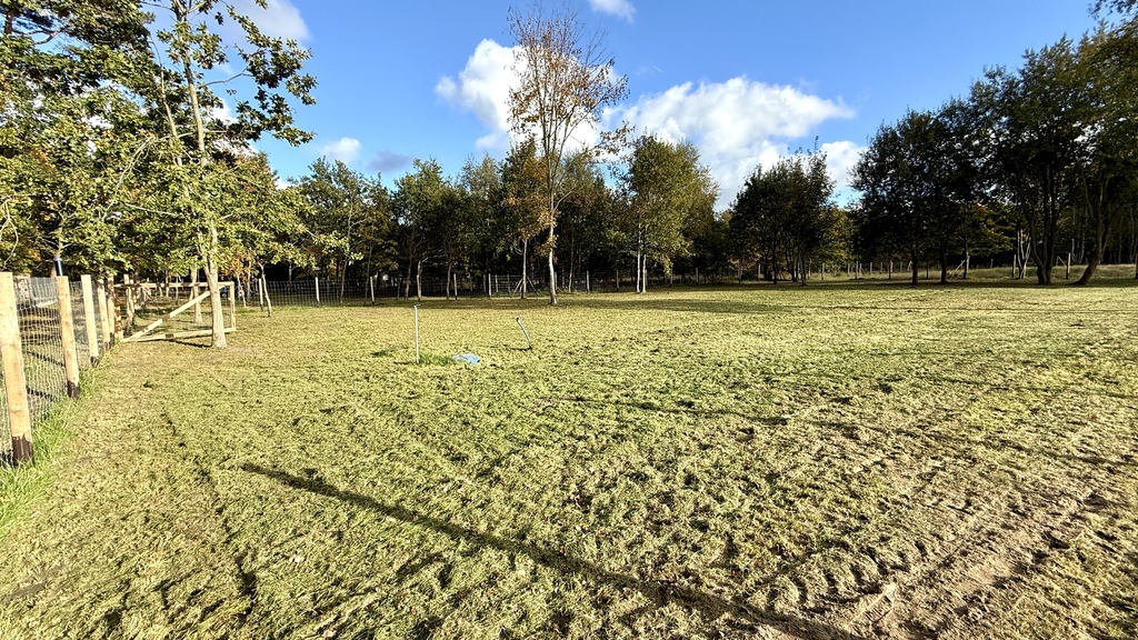 Piękne działki z planem 200m od morza w Niechorzu! (27)